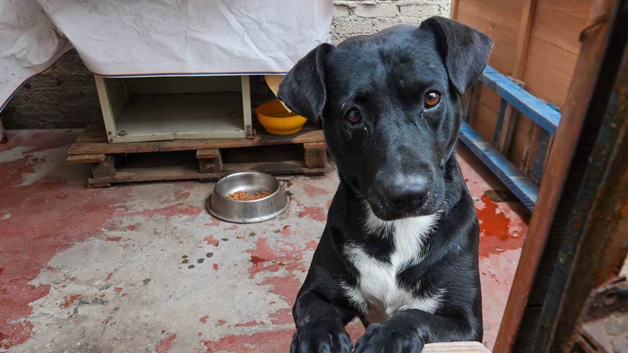 Encuesta Nacional de Ingreso y Gasto en los Hogares