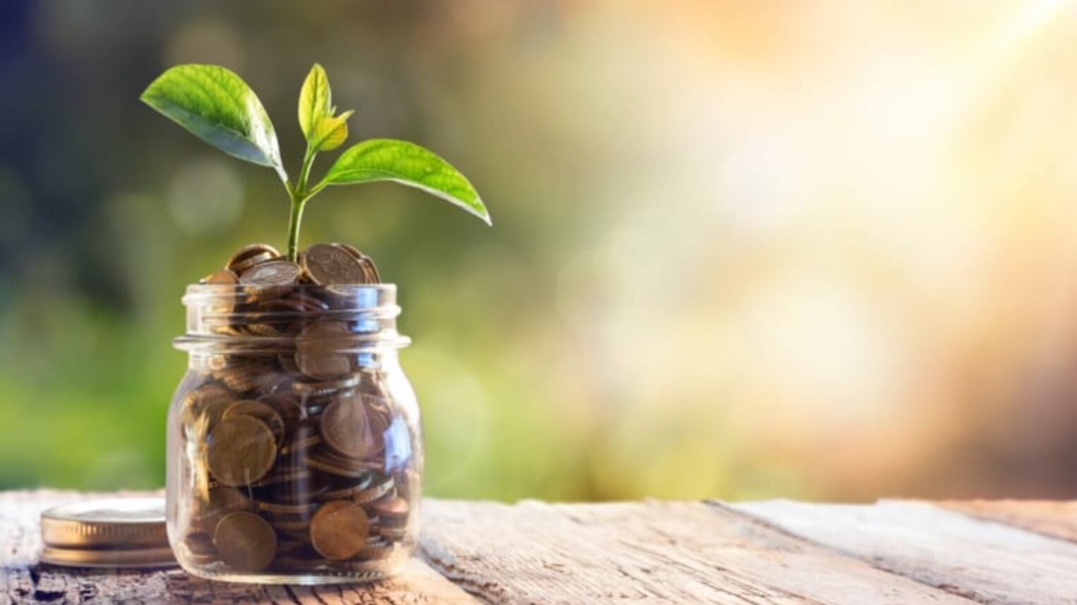 Consejos monetarios-Sano de Lucas