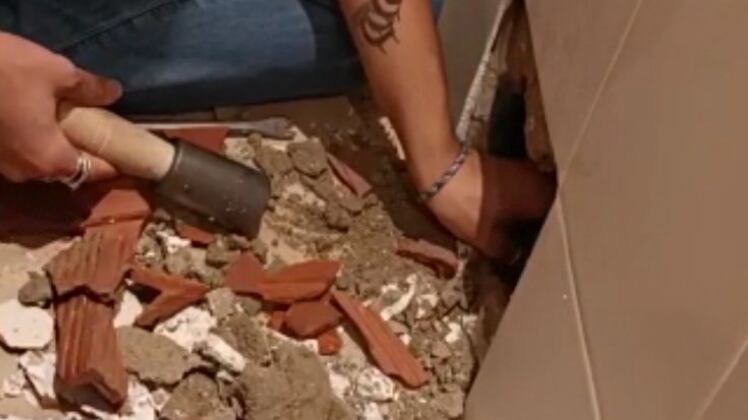 Gato se quedó encerrado en una tina