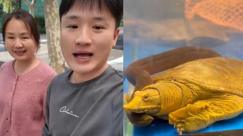 Yuhui Lee generó debate tras mostrar video donde cocinan una tortuga: “Es muy común en China”
