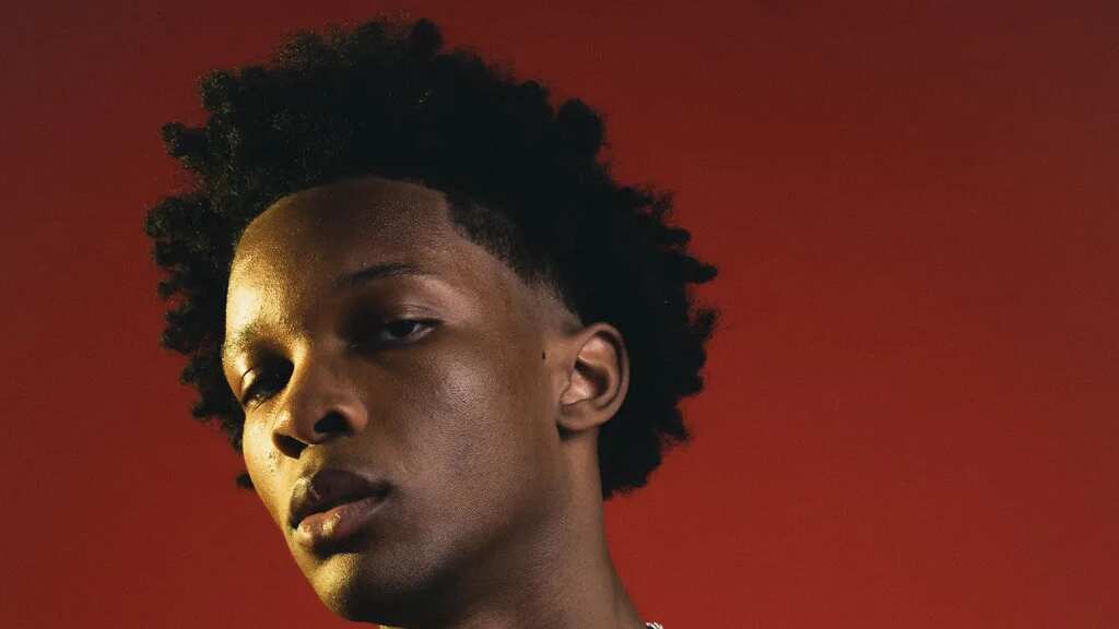 Hallan cadáver en descomposición en auto registrado a nombre de D4vd, cantante confirmado para Lollapalooza 2026