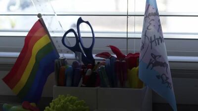 Senado de Florida prohíbe tratamiento transgénero para niños