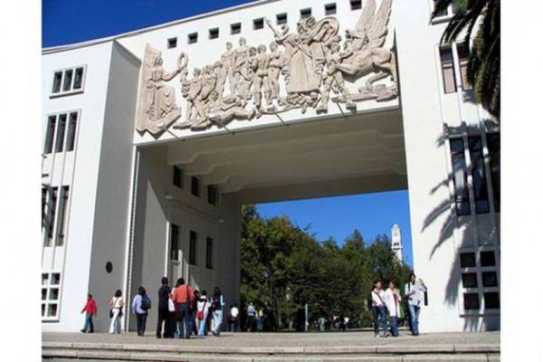 U. de Concepción podría cambiar para siempre: Evalúan poner cerco al icónico campus abierto