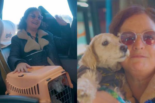 Ahora puedes viajar con tu mascota: Empresa chilena de buses estrena servicio “Pet Friendly”