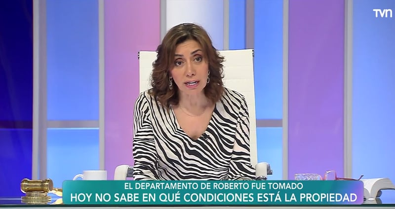 Carmen Gloria Arroyo | Captura:TVN