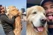 Influencer brasileño y su perro fallecen en accidente en Estados Unidos: querían llegar a Alaska
